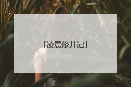 凌晨修井记