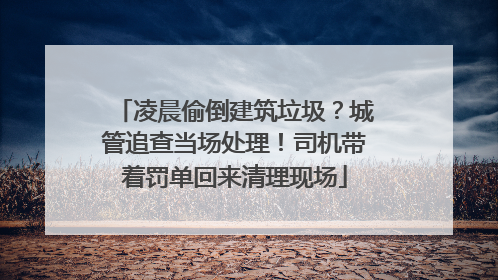 凌晨偷倒建筑垃圾？城管追查当场处理！司机带着罚单回来清理现场