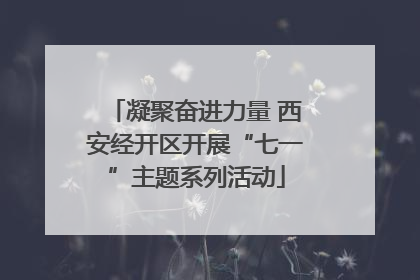 凝聚奋进力量 西安经开区开展“七一”主题系列活动