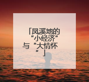 凤溪地的“小经济”与“大情怀”
