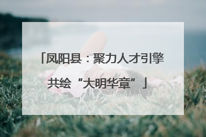 凤阳县：聚力人才引擎 共绘“大明华章”
