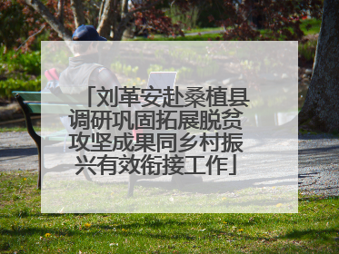 刘革安赴桑植县调研巩固拓展脱贫攻坚成果同乡村振兴有效衔接工作