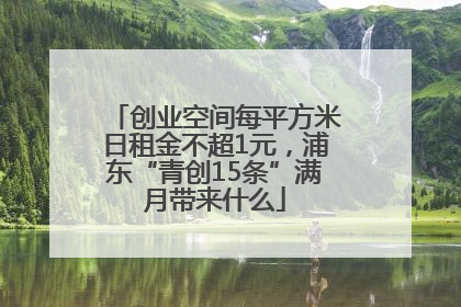 创业空间每平方米日租金不超1元，浦东“青创15条”满月带来什么