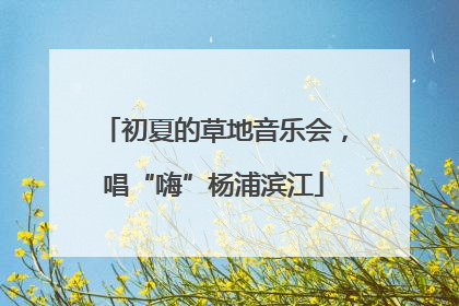 初夏的草地音乐会，唱“嗨”杨浦滨江