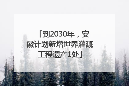 到2030年，安徽计划新增世界灌溉工程遗产1处