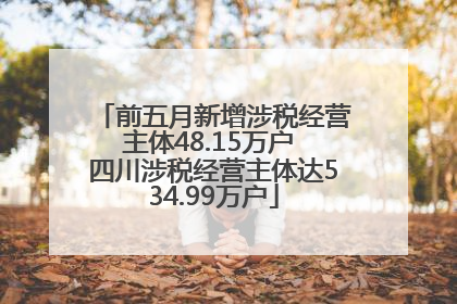 前五月新增涉税经营主体48.15万户 四川涉税经营主体达534.99万户