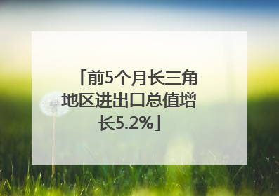 前5个月长三角地区进出口总值增长5.2%