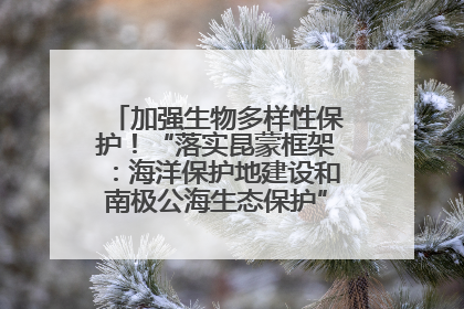 加强生物多样性保护！“落实昆蒙框架：海洋保护地建设和南极公海生态保护”主题论坛将举办