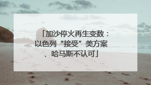 加沙停火再生变数：以色列“接受”美方案、哈马斯不认可