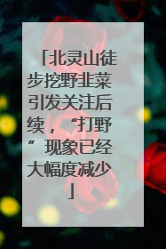 北灵山徒步挖野韭菜引发关注后续，“打野”现象已经大幅度减少