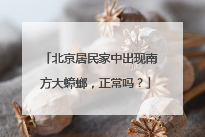 北京居民家中出现南方大蟑螂，正常吗？
