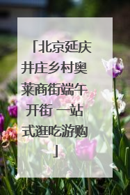 北京延庆井庄乡村奥莱商街端午开街 一站式逛吃游购