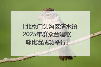 北京门头沟区清水镇2025年群众合唱歌咏比赛成功举行