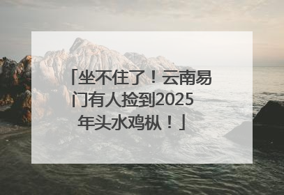 坐不住了！云南易门有人捡到2025年头水鸡枞！