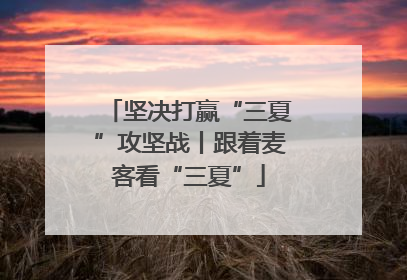 坚决打赢“三夏”攻坚战丨跟着麦客看“三夏”