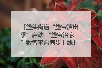 垡头街道“垡宝演出季”启动 “垡宝治家”数智平台同步上线