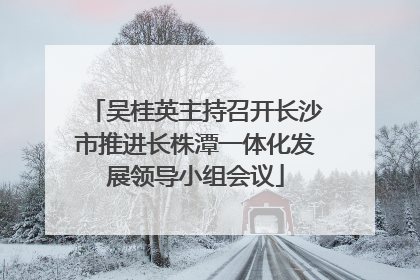 吴桂英主持召开长沙市推进长株潭一体化发展领导小组会议