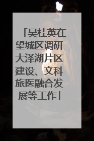 吴桂英在望城区调研大泽湖片区建设、文科旅医融合发展等工作