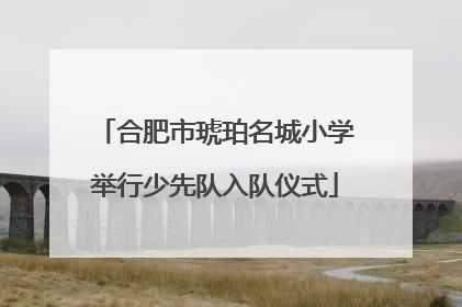 合肥市琥珀名城小学举行少先队入队仪式