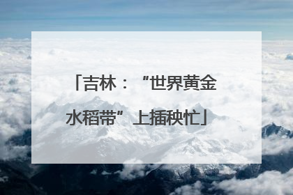 吉林：“世界黄金水稻带”上插秧忙
