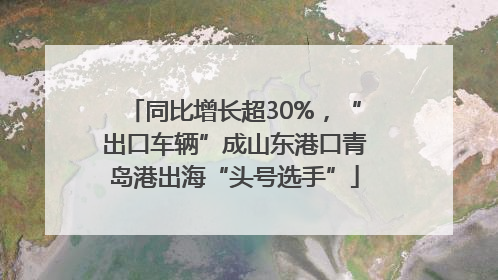 同比增长超30%，“出口车辆”成山东港口青岛港出海“头号选手”