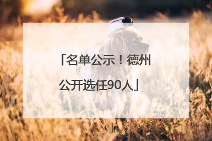 名单公示！德州公开选任90人