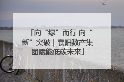 向“绿”而行 向“新”突破｜襄阳数产集团赋能低碳未来