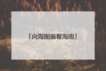 向海图强看海南