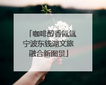 咖啡醇香氤氲宁波东钱湖文旅融合新图景
