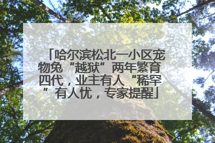 哈尔滨松北一小区宠物兔“越狱”两年繁育四代，业主有人“稀罕”有人忧，专家提醒