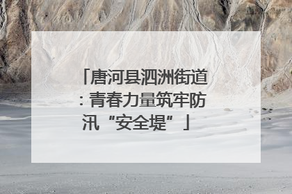 唐河县泗洲街道：青春力量筑牢防汛“安全堤”