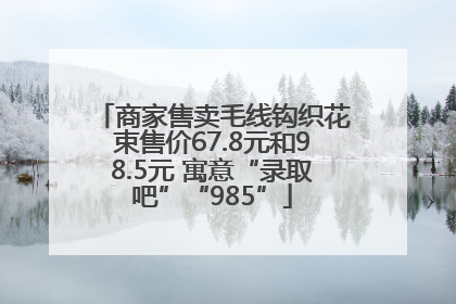 商家售卖毛线钩织花束售价67.8元和98.5元 寓意“录取吧”“985”