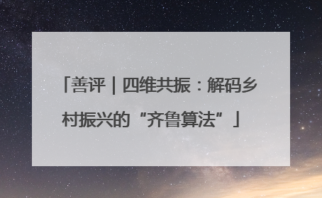 善评｜四维共振：解码乡村振兴的“齐鲁算法”