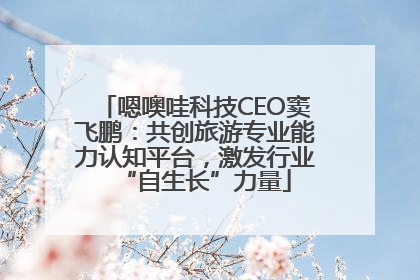 嗯噢哇科技CEO窦飞鹏：共创旅游专业能力认知平台，激发行业“自生长”力量