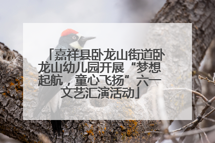嘉祥县卧龙山街道卧龙山幼儿园开展“梦想起航，童心飞扬”六一文艺汇演活动