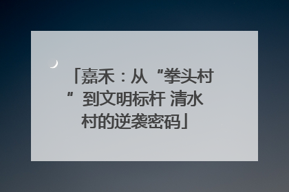 嘉禾：从“拳头村”到文明标杆 清水村的逆袭密码