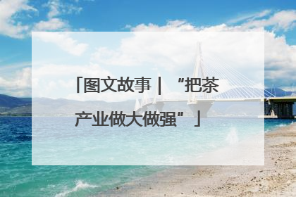 图文故事｜“把茶产业做大做强”