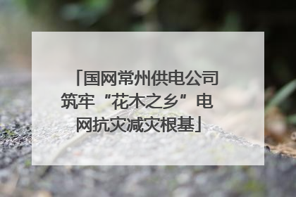 国网常州供电公司筑牢“花木之乡”电网抗灾减灾根基