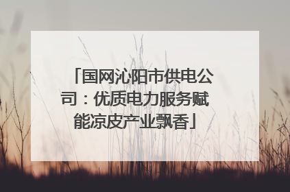 国网沁阳市供电公司：优质电力服务赋能凉皮产业飘香