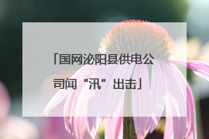 国网泌阳县供电公司闻“汛”出击