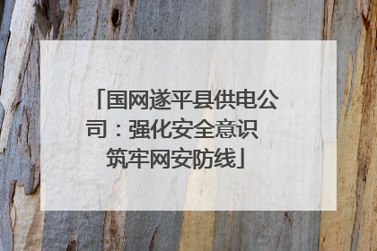 国网遂平县供电公司：强化安全意识 筑牢网安防线