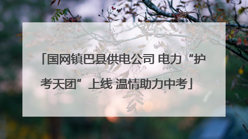 国网镇巴县供电公司 电力“护考天团”上线 温情助力中考
