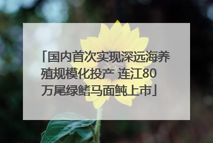 国内首次实现深远海养殖规模化投产 连江80万尾绿鳍马面鲀上市