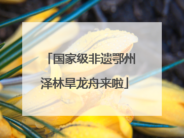 国家级非遗鄂州泽林旱龙舟来啦