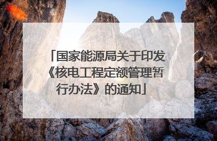 国家能源局关于印发《核电工程定额管理暂行办法》的通知