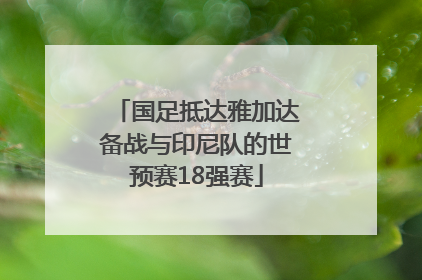 国足抵达雅加达备战与印尼队的世预赛18强赛
