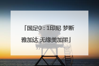 国足0∶1印尼 梦断雅加达 无缘美加墨