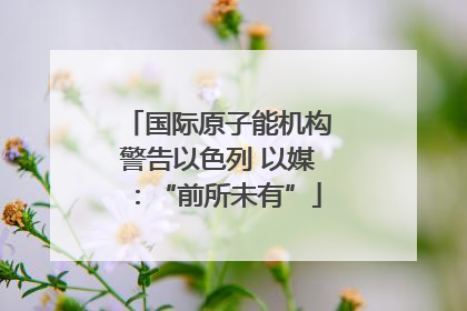 国际原子能机构警告以色列 以媒：“前所未有”