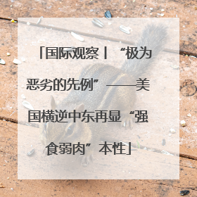 国际观察丨“极为恶劣的先例”——美国横逆中东再显“强食弱肉”本性