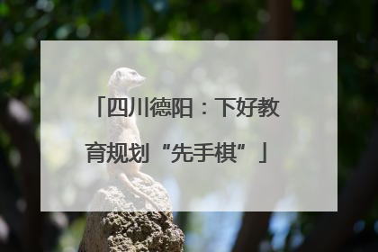 四川德阳：下好教育规划“先手棋”